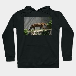 Jaguar Hoodie